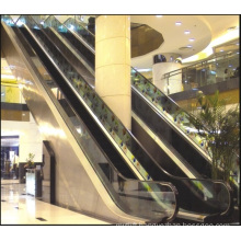 Aksen Escalator Indoor & Outer Door Type